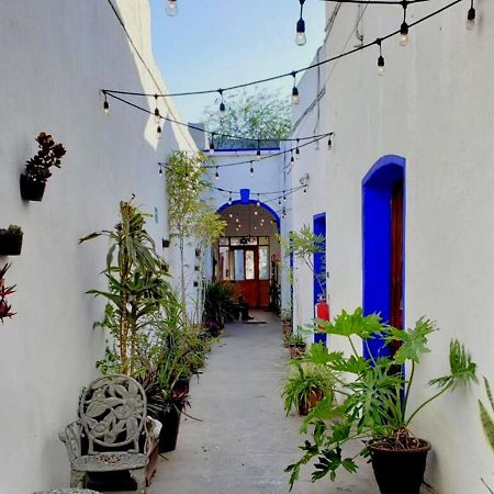 Ikali Hostel Монтеррей Экстерьер фото