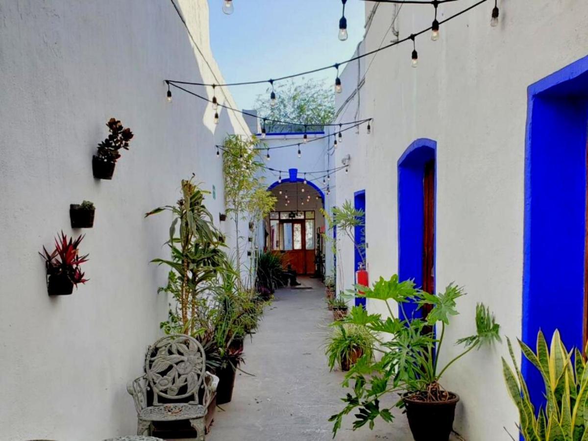 Ikali Hostel Монтеррей Экстерьер фото