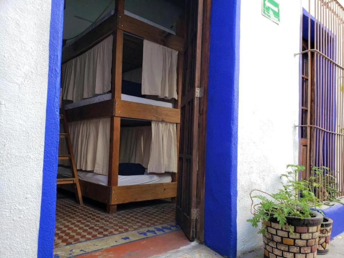 Ikali Hostel Монтеррей Экстерьер фото