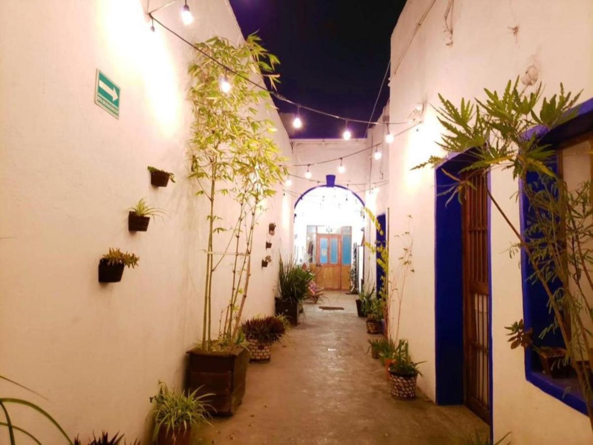 Ikali Hostel Монтеррей Экстерьер фото