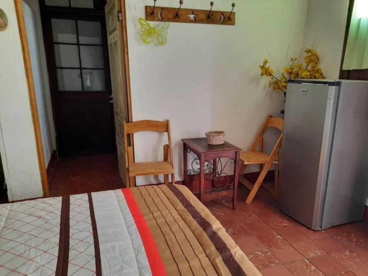 Ikali Hostel Монтеррей Экстерьер фото