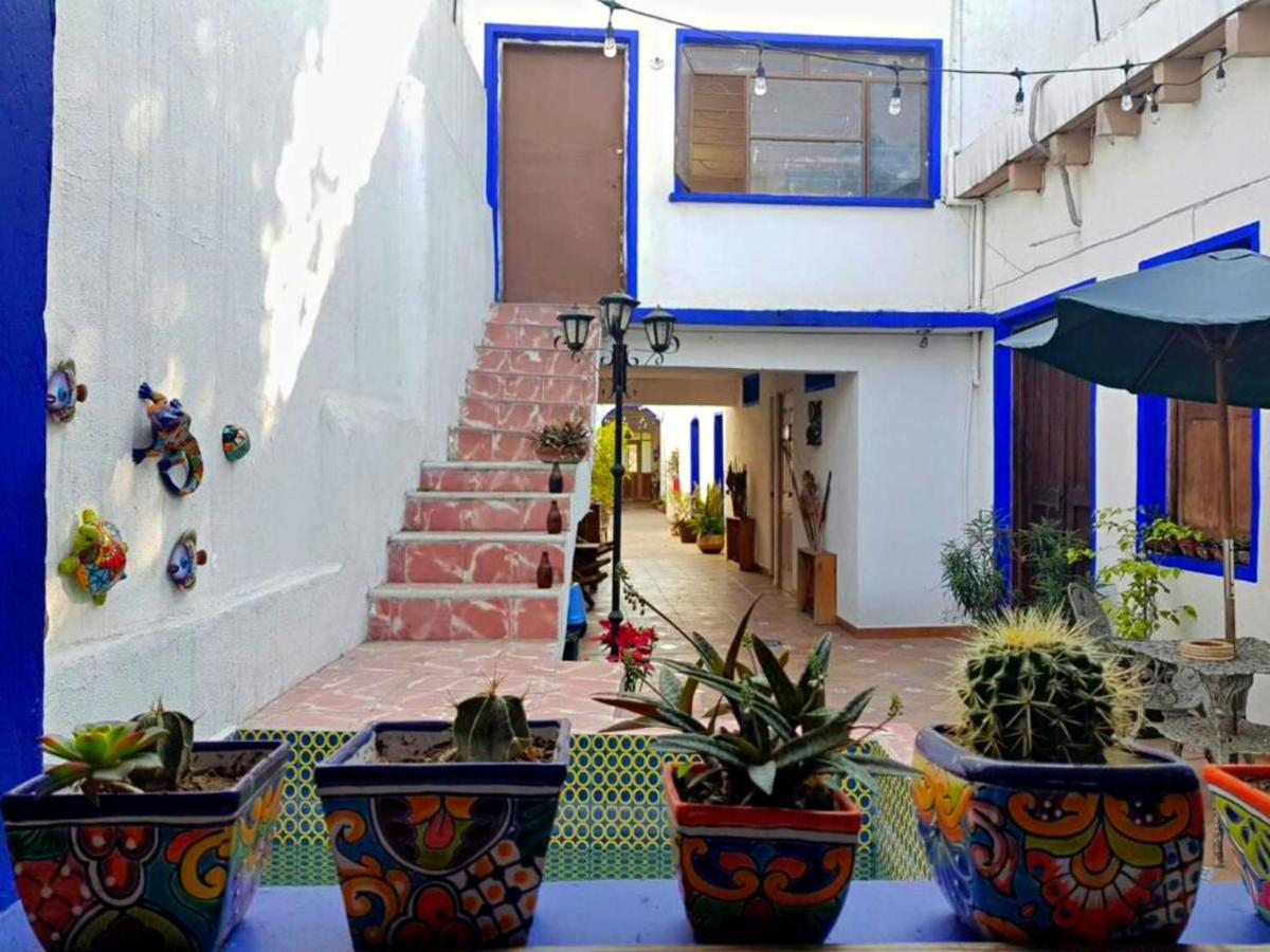 Ikali Hostel Монтеррей Экстерьер фото
