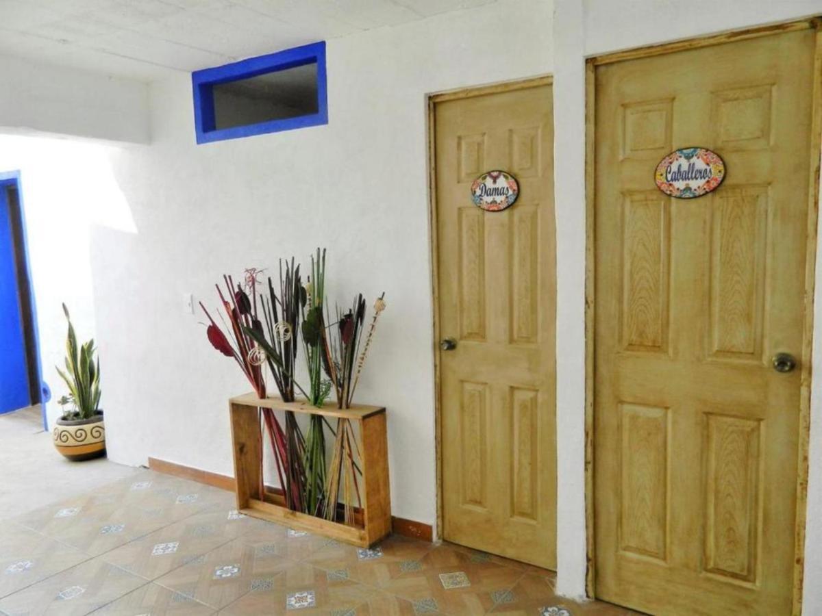 Ikali Hostel Монтеррей Экстерьер фото